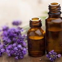 lavender-essential-oil