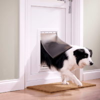 pet door aluminium