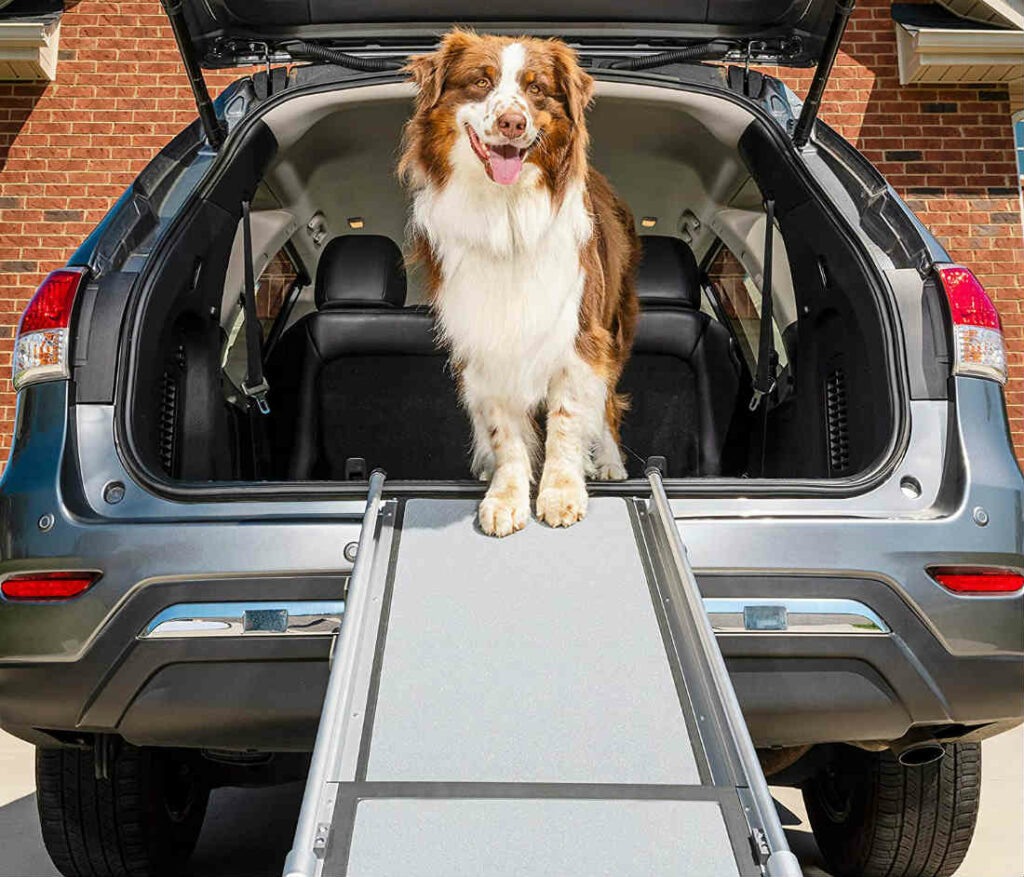 dog ramps for cars