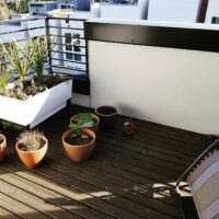 veggie-planters-in-balcony