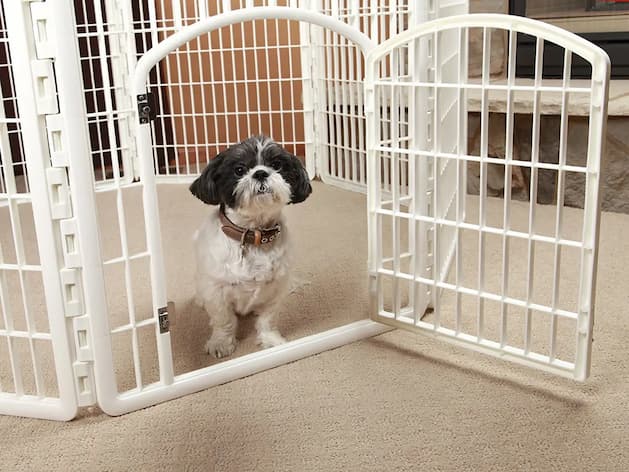 how long can you leave a puppy alone in a playpen