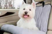 PetSafe Happy Ride Car Dog Bed - PTV17-16872