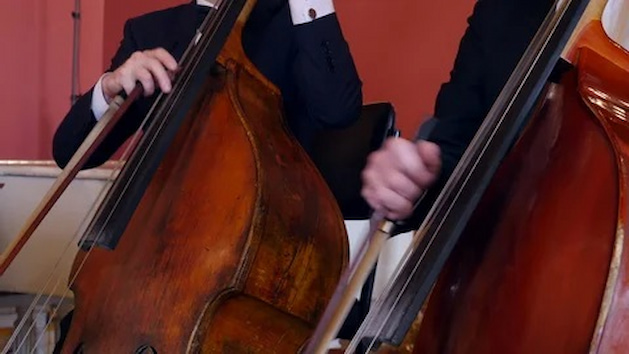 Our Tips for Selecting the Right Contrabass