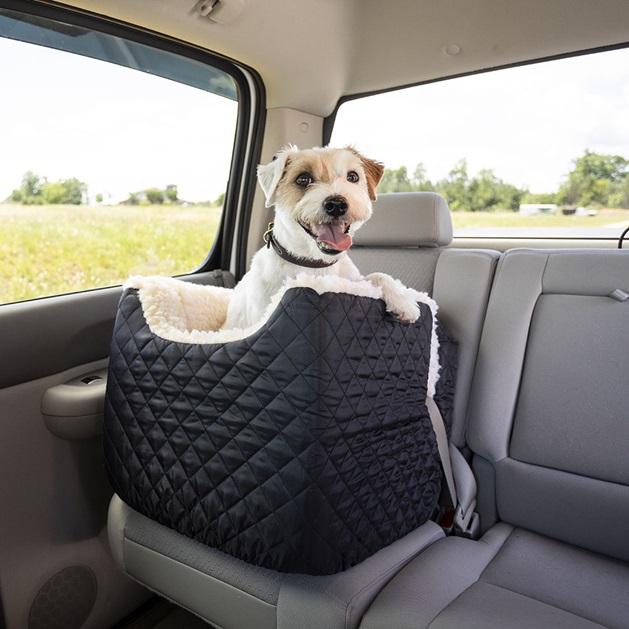 Essential Car Gear for Safe and Comfortable Travel with Your Dog