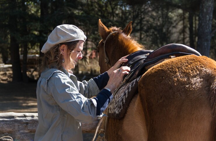 Horse Blankets 101: Tips for Choosing the Right Blanket for Every Season