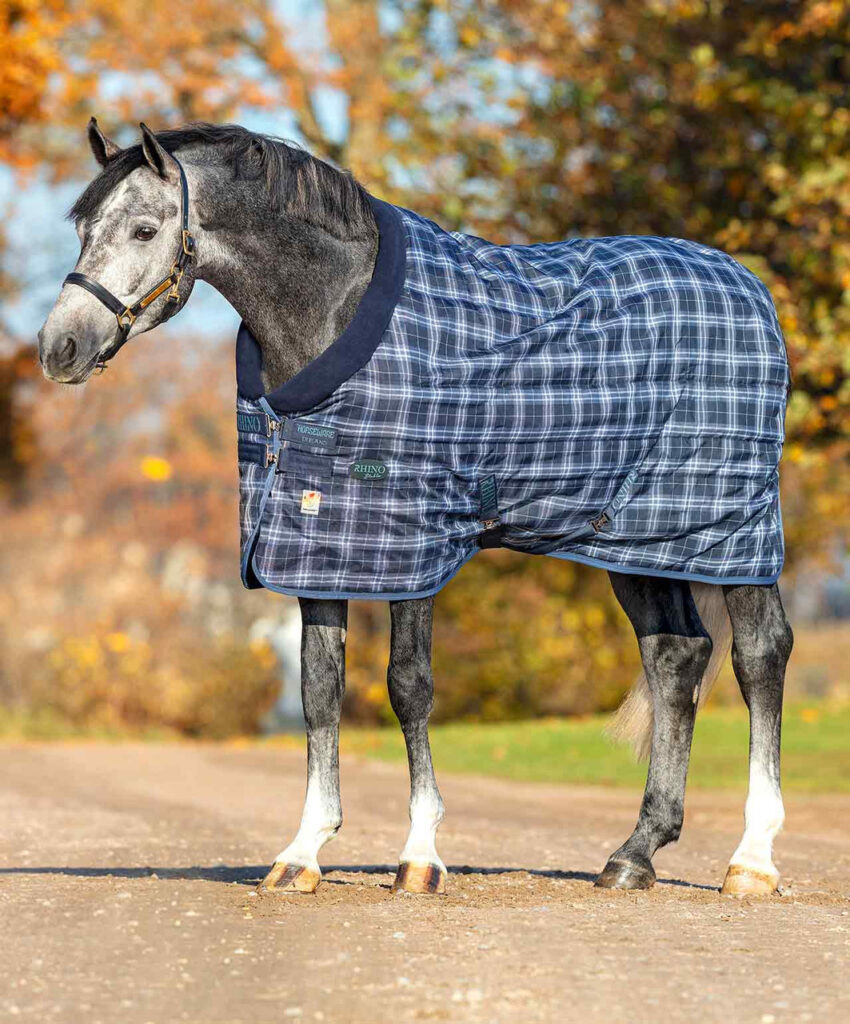 horse turnout blanket