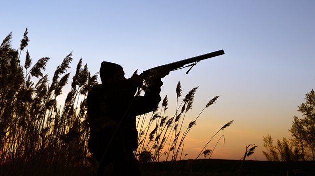 Our Tips for Choosing Hunting Ammunition